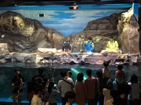 Korea's Lotte World Aquarium: Everything You Need To Know - Full Time Baby