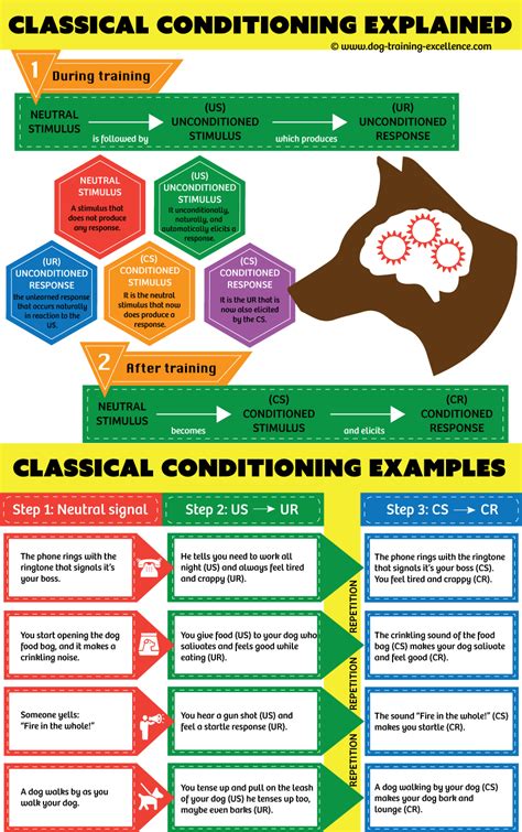 Classical Conditioning: a basic form of learning.