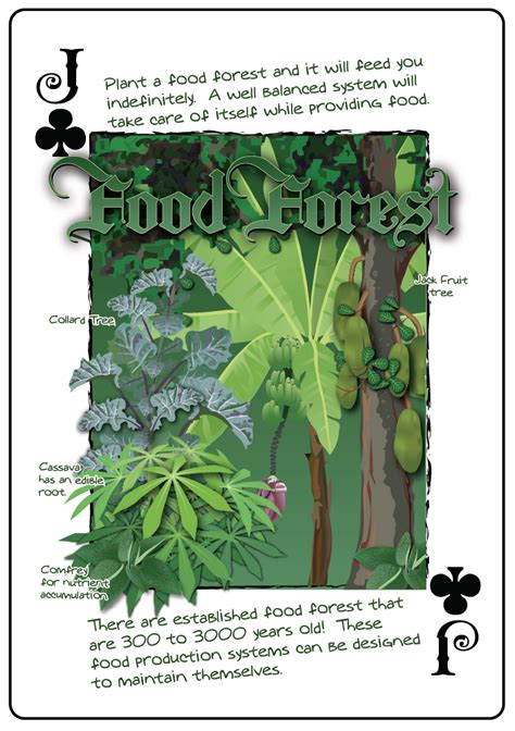 plant list for Food Forest in North West United States? (forest garden ...