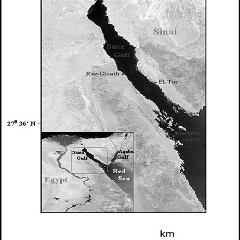 A map of the Gulf of Suez showing the main four fishing harbors along ...