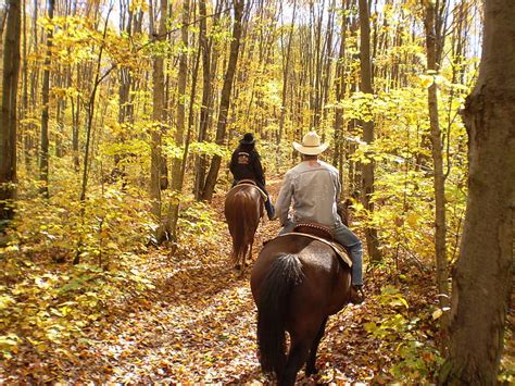 Royalty-Free photo: Two people on brown horses beside trees during ...