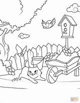 Cat Playing With A Butterfly In The Yard coloring Page  Free Printable sketch template