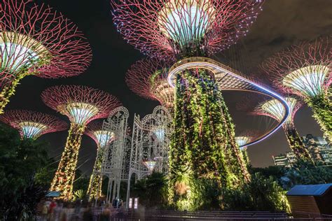 Gardens by the Bay: Luminous Supertrees From the Future - Northabroad