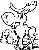 Free Printable Moose Coloring Pages For Kids  coloring pages sketch template