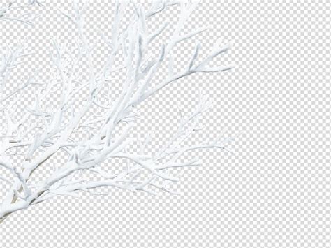 Premium PSD | Isolated branches of a snow tree on white background