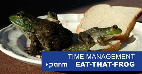 Project time management: Eat That Frog | Parm AG