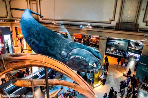 Photo of the Smithsonian National Museum of Natural History in Washington DC, USA ...