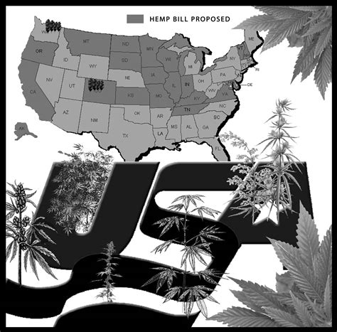 Hemp Farming Back in the USA - Cannabis Digest