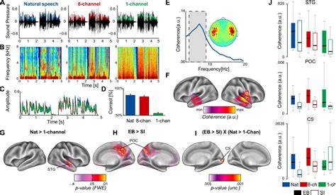 Figures and data in Neuronal populations in the occipital cortex of the blind synchronize to the ...