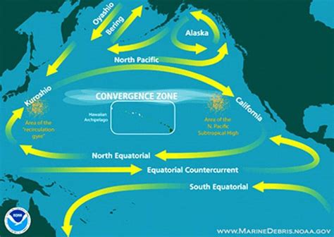 Pacific Ocean Currents Map