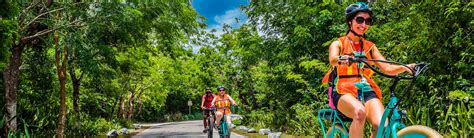 Beach Bum Bikes – Turismo Cozumel