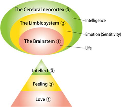 Right Brain Creativity | Heguru