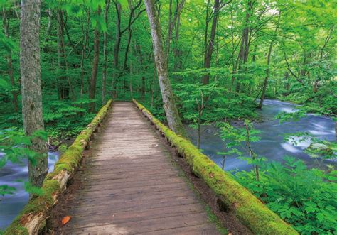 Glimpses of Japan’s Wilderness and Old Roads / The Government of Japan ...