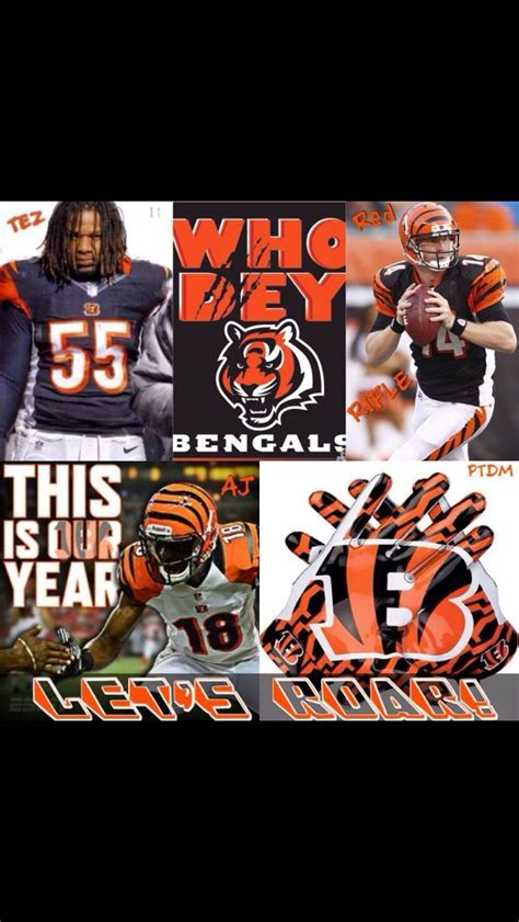 Who Dey!!! | Cincinnati bengals, Cincinnati bengals football ...