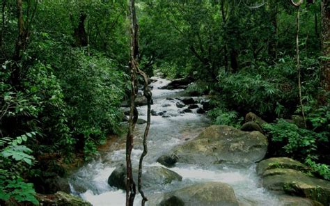 Ponmudi, Hill Station in Kerala for Getaways With Treks, Waterfalls And Wildlife | WhatsHot ...