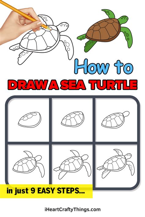 Sea Turtle Drawing — How To Draw A Sea Turtle Step By Step