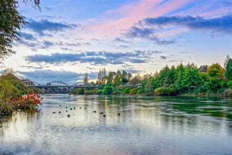 18 FUN Things to do in Hamilton, New Zealand - My Queenstown Diary