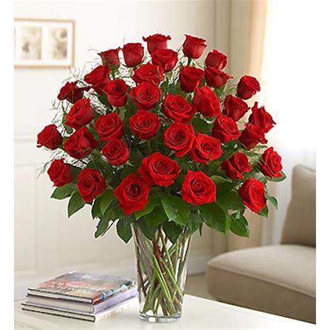 Two Dozen Longstem Red Roses Spring TX Florist | Spring, TX | Florist in Spring Texas | The ...