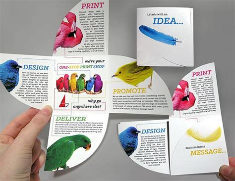 Pin on brochure ideas