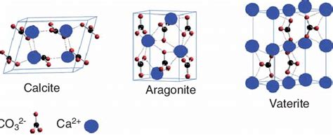 Different polymorphs of CaCO3 nanoparticles. Vaterite belongs to the ...