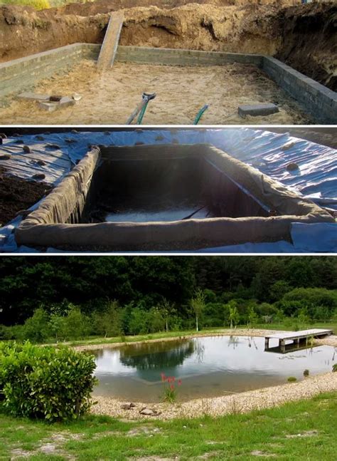 Pin on natural swimming pools