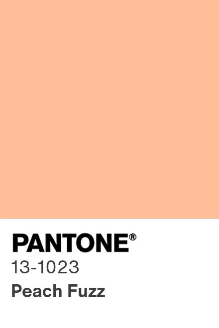 Pantone 2024 Color Del AñO - Pauli Bethanne