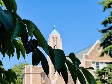 Campus is nice on days like these. : r/udub