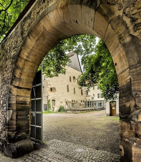 Ancient DNA from the teeth of 14th-century Ashkenazi Jews in Germany ...