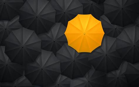 Free Stock Photo of Yellow Umbrella Contrasting With Black Umbrellas ...