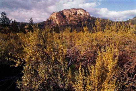 Conservation group buys last portion of South Okanagan antelope habitat ...