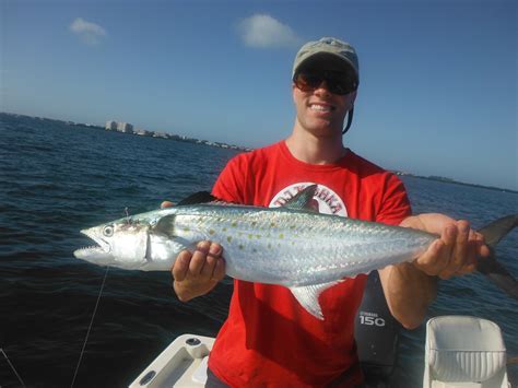 Siesta Key Beach fishing Charters – Siesta Key Fishing Charters