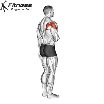 Shoulder External Rotation » Workout Planner