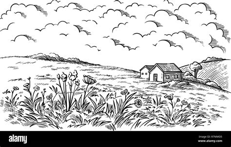 field near the village houses in the background and flowers vector illustration Stock Vector ...
