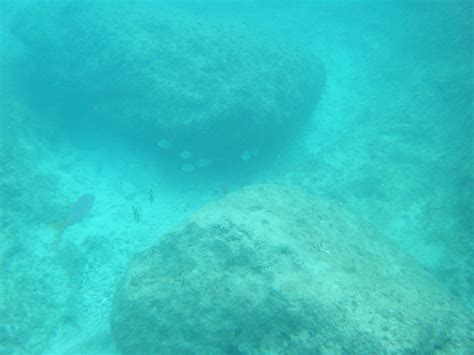 Great Stirrup Cay | Snorkeling | Gayle | Flickr