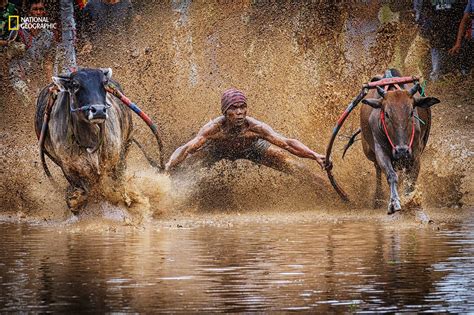 National Geographic Nature Photographer of the Year 2016 competition ...