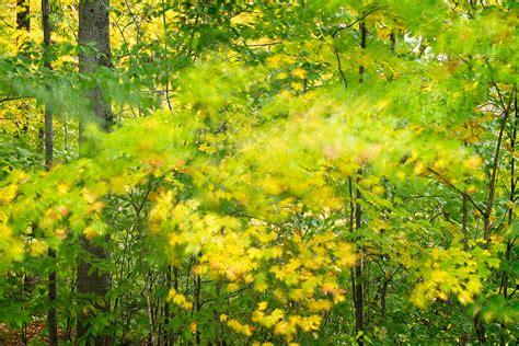 Killington Fall Colors, Vermont, USA