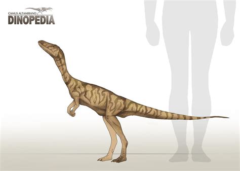 Segisaurus halli by CamusAltamirano.deviantart.com on @DeviantArt ...