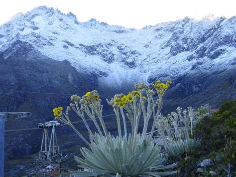 Turismo en Venezuela: Pico Bolivar Estado Medida