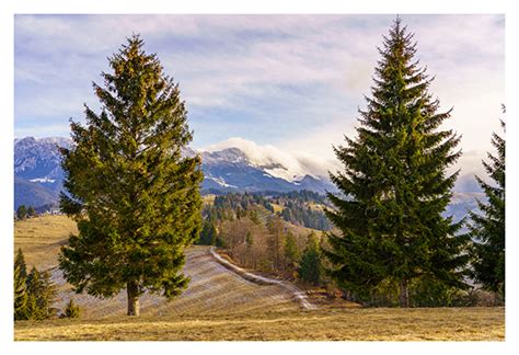 Hiking in the Carpathian Mountains: December edition on Behance