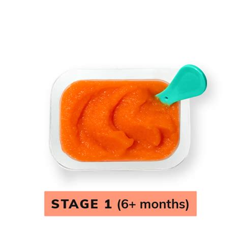 Carrot Baby Food Puree | Stage 1 Baby Food For Your Baby