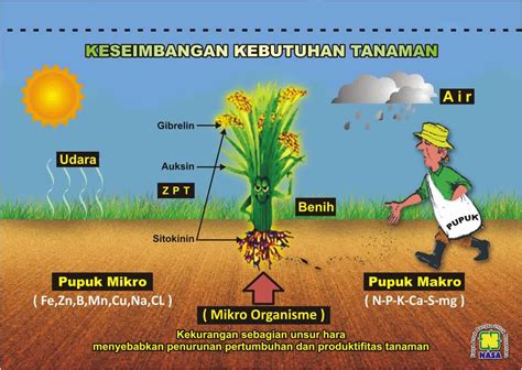 SISTEM PERTANIAN ORGANIK | Sentra Organik