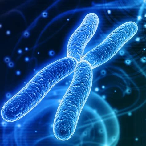 Introduction to Molecular Genetics and Genomics - DIESEL'S LIBRARY