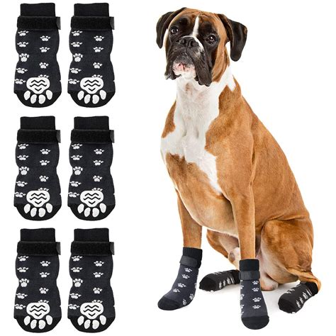 Why Cant Dogs Walk In Socks