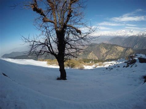 Chopta to Tungnath - Me Versus A Snow Trail