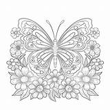 Free Butterfly Printable Coloring Pages A Fun Activity For Kids Of All  sketch template