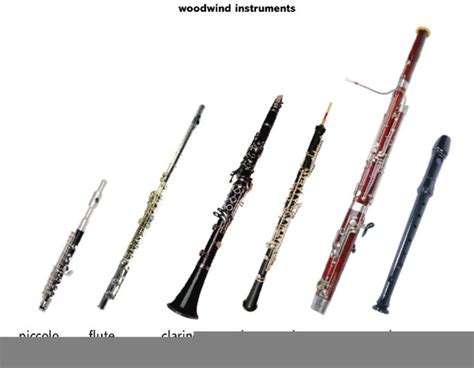 Woodwind Instruments Of The Orchestra