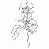Coloring Pages For Children Easy Primrose Flowers Art Hand Drawing  sketch template