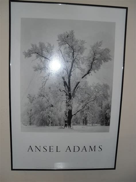 MdA Interiors: Ansel Adams Framed Prints - SOLD