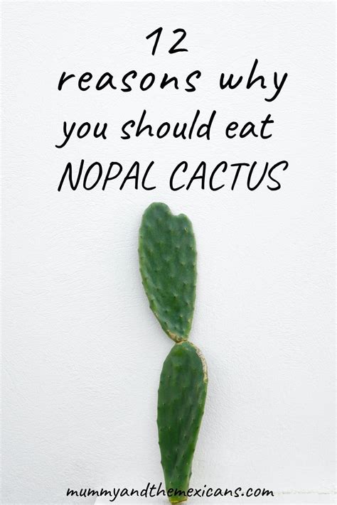 Nopal cactus health benefits uses and recipes – Artofit