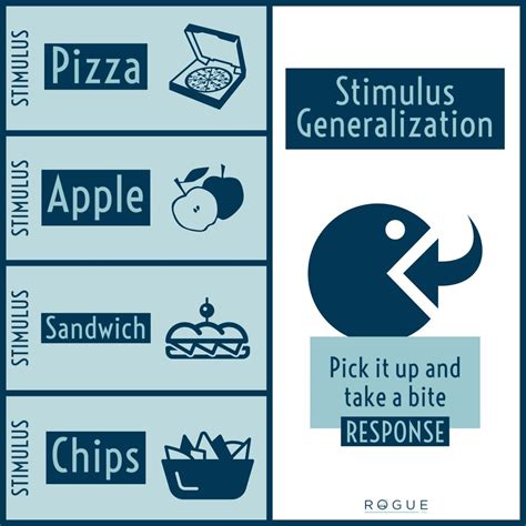 Stimulus And Response Generalization Examples